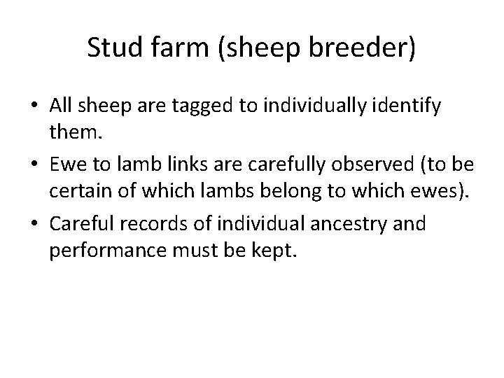 Stud farm (sheep breeder) • All sheep are tagged to individually identify them. •