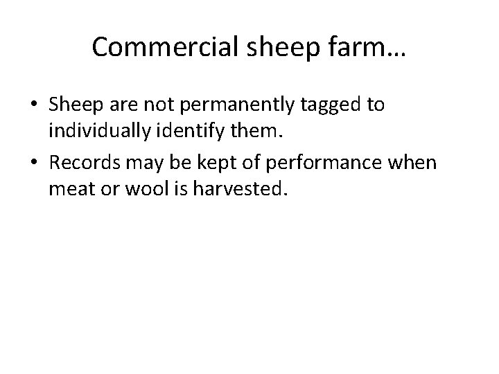 Commercial sheep farm… • Sheep are not permanently tagged to individually identify them. •