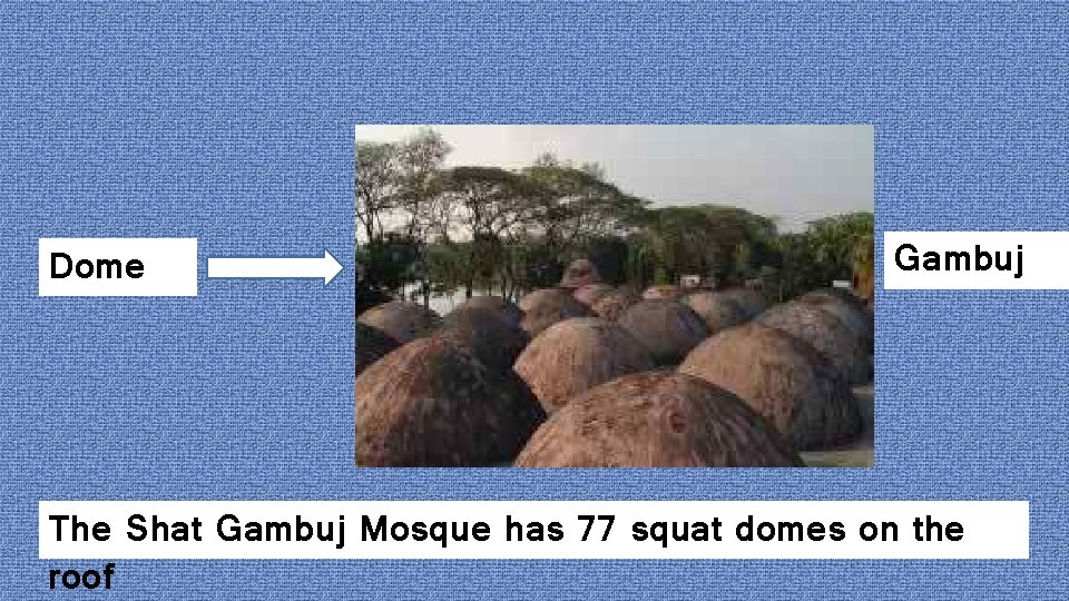 Dome Gambuj The Shat Gambuj Mosque has 77 squat domes on the roof 
