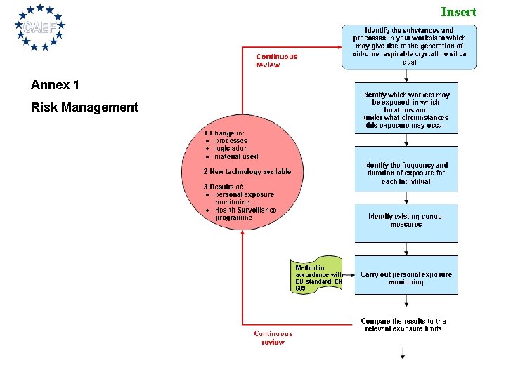 Insert your logo Annex 1 Risk Management 