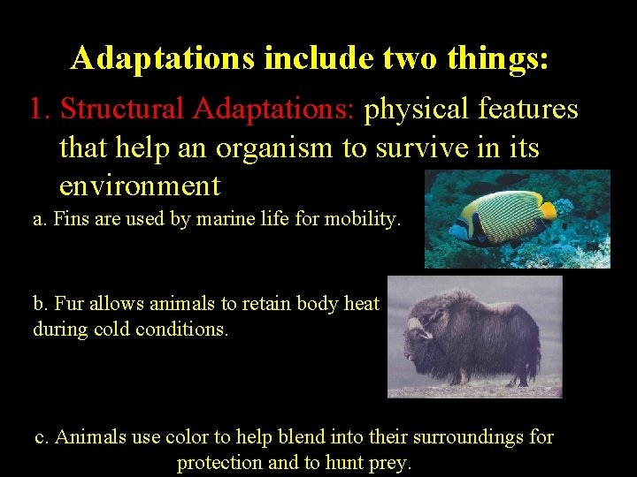Adaptations include two things: 1. Structural Adaptations: physical features that help an organism to