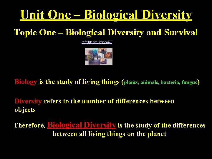 Unit One – Biological Diversity Topic One – Biological Diversity and Survival http: //taggalaxy.