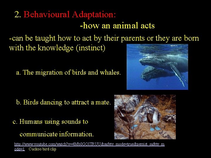 2. Behavioural Adaptation: -how an animal acts -can be taught how to act by