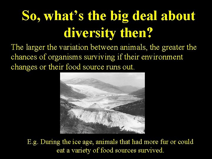 So, what’s the big deal about diversity then? The larger the variation between animals,
