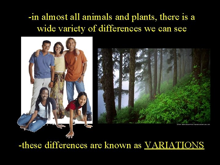 -in almost all animals and plants, there is a wide variety of differences we