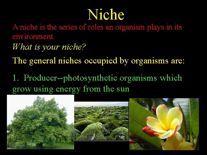 Niche A niche is the series of roles an organism plays in its environment.