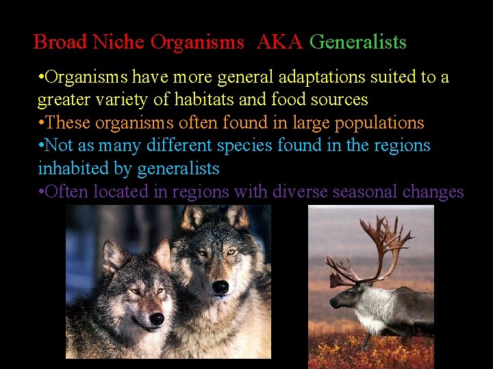 Broad Niche Organisms AKA Generalists • Organisms have more general adaptations suited to a