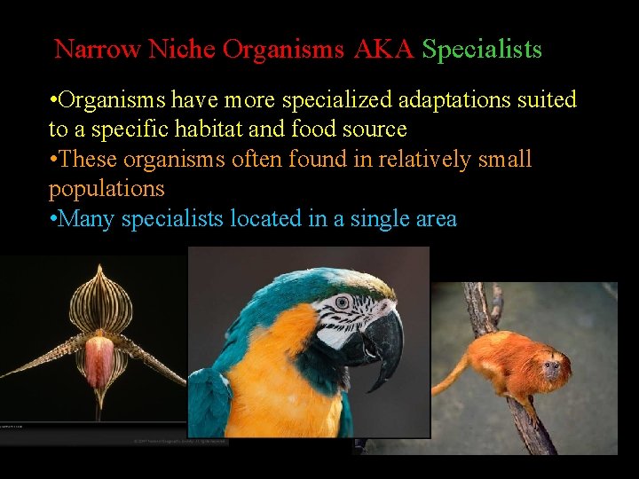 Narrow Niche Organisms AKA Specialists • Organisms have more specialized adaptations suited to a