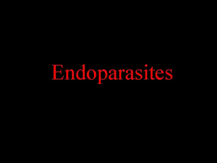 Parasitism Endoparasites 