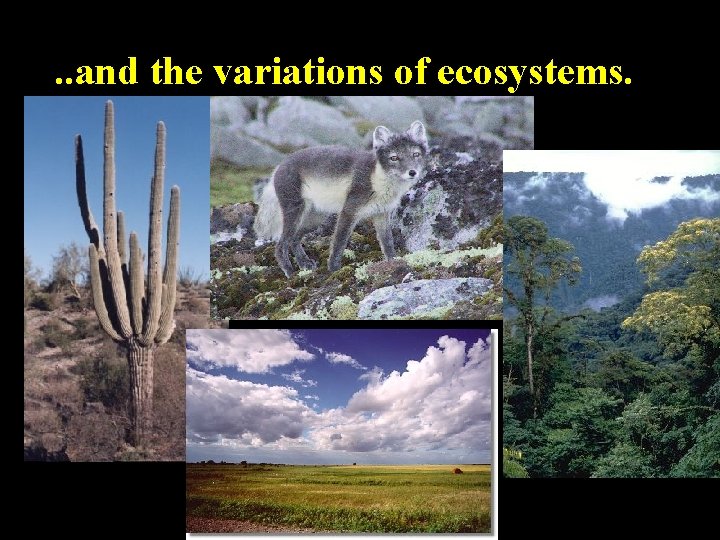 . . and the variations of ecosystems. 