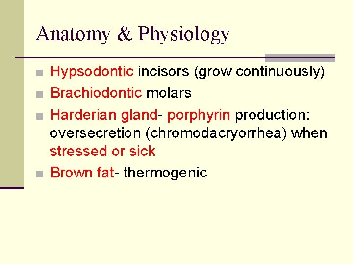 Anatomy & Physiology ■ Hypsodontic incisors (grow continuously) ■ Brachiodontic molars ■ Harderian gland-