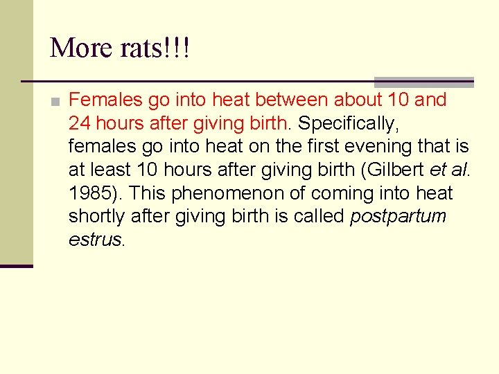 More rats!!! ■ Females go into heat between about 10 and 24 hours after