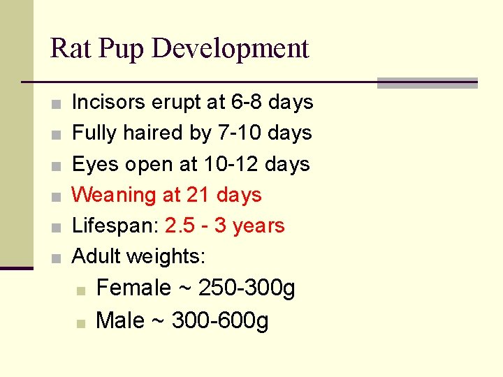 Rat Pup Development ■ Incisors erupt at 6 -8 days ■ Fully haired by
