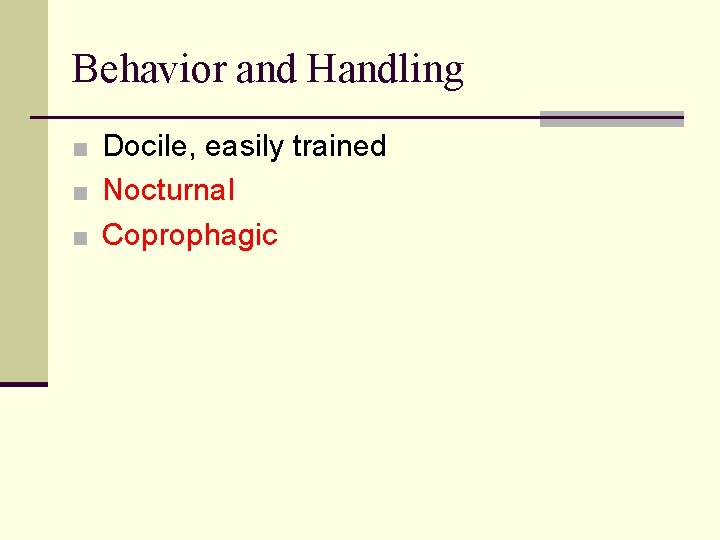 Behavior and Handling ■ Docile, easily trained ■ Nocturnal ■ Coprophagic 