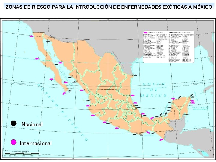 ZONAS DE RIESGO PARA LA INTRODUCCIÓN DE ENFERMEDADES EXÓTICAS A MÉXICO Nacional Internacional 