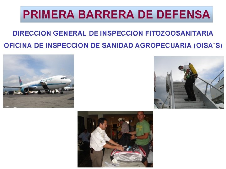 PRIMERA BARRERA DE DEFENSA DIRECCION GENERAL DE INSPECCION FITOZOOSANITARIA OFICINA DE INSPECCION DE SANIDAD