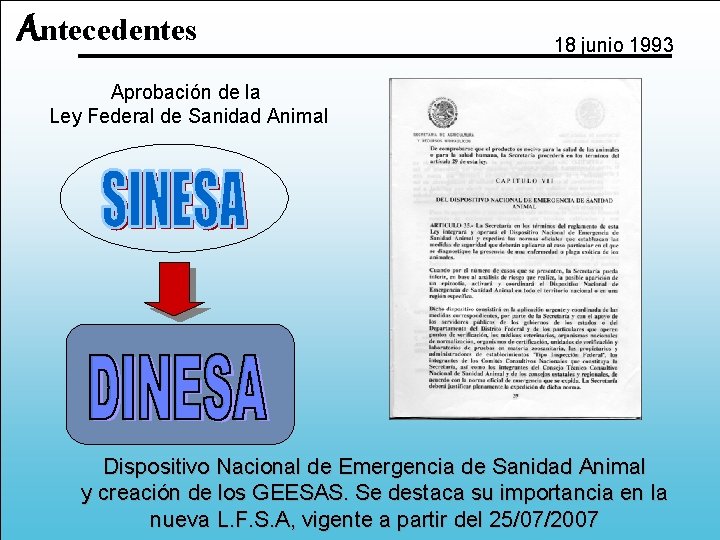 Antecedentes 18 junio 1993 Aprobación de la Ley Federal de Sanidad Animal Dispositivo Nacional