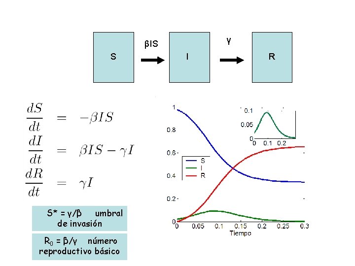 γ βIS S S* = γ/β umbral de invasión R 0 = β/γ número