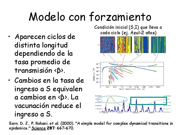 Modelo con forzamiento • Aparecen ciclos de distinta longitud dependiendo de la tasa promedio