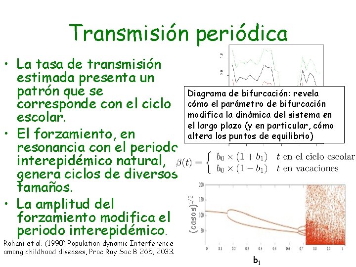 Transmisión periódica Rohani et al. (1998) Population dynamic Interference among childhood diseases, Proc Roy