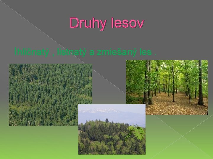 Druhy lesov Ihličnatý , listnatý a zmiešaný les. 