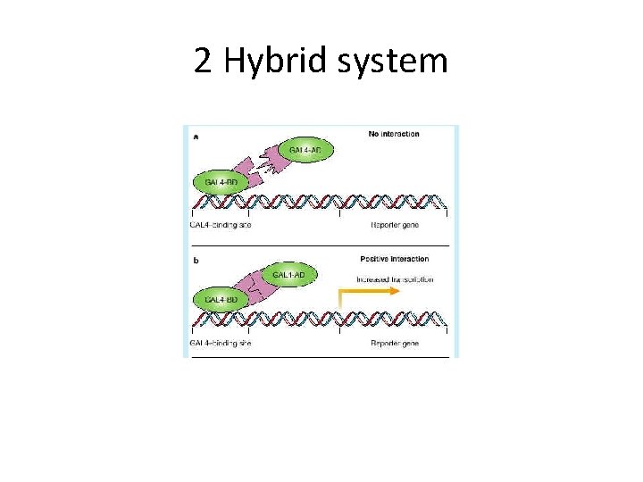 2 Hybrid system 