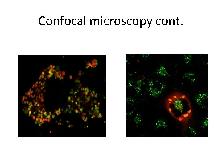 Confocal microscopy cont. 