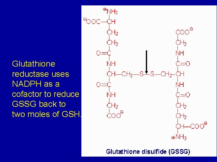 Glutathione reductase uses NADPH as a cofactor to reduce GSSG back to two moles