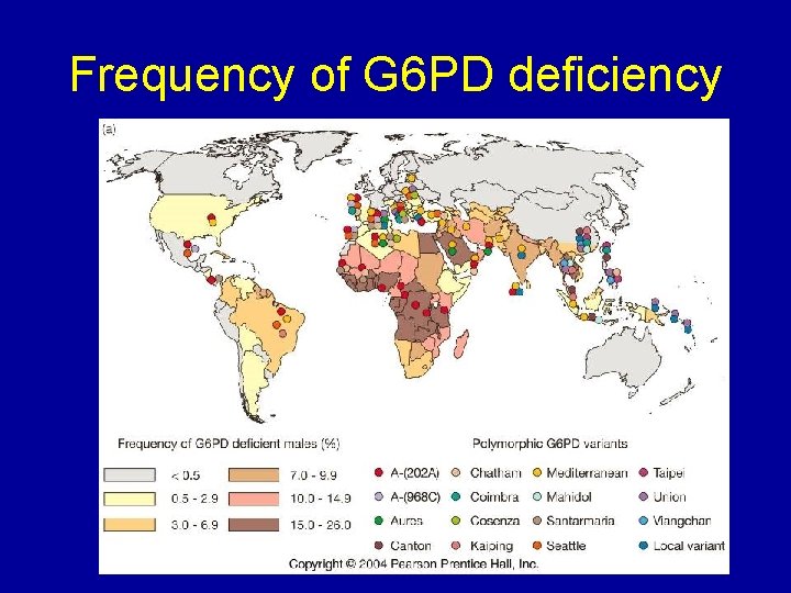 Frequency of G 6 PD deficiency 