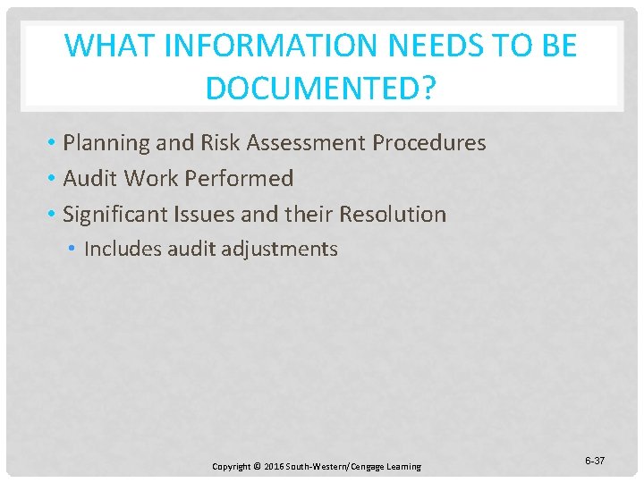 WHAT INFORMATION NEEDS TO BE DOCUMENTED? • Planning and Risk Assessment Procedures • Audit