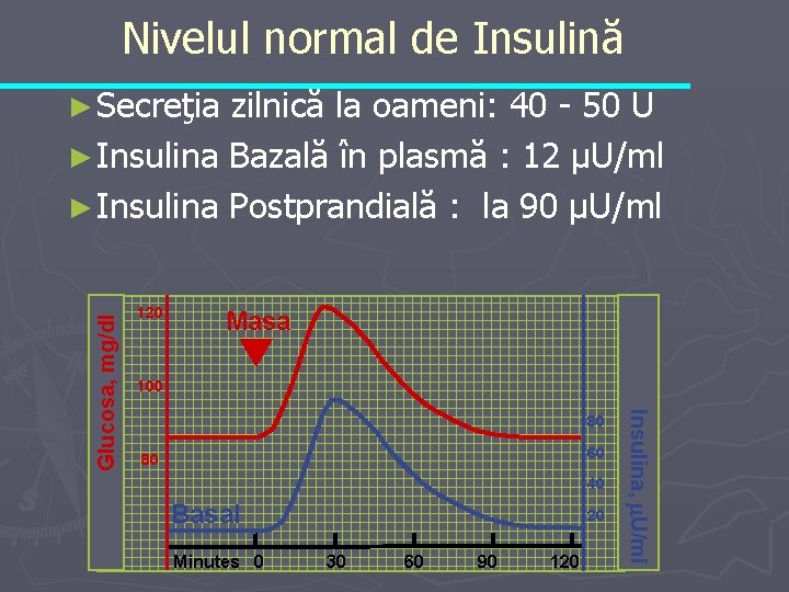 Nivelul normal de Insulină zilnică la oameni: 40 - 50 U ► Insulina Bazală