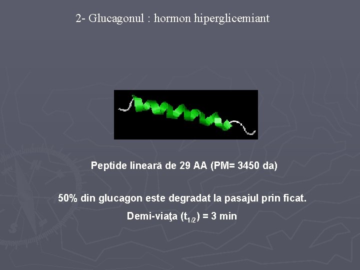 2 - Glucagonul : hormon hiperglicemiant Peptide lineară de 29 AA (PM= 3450 da)