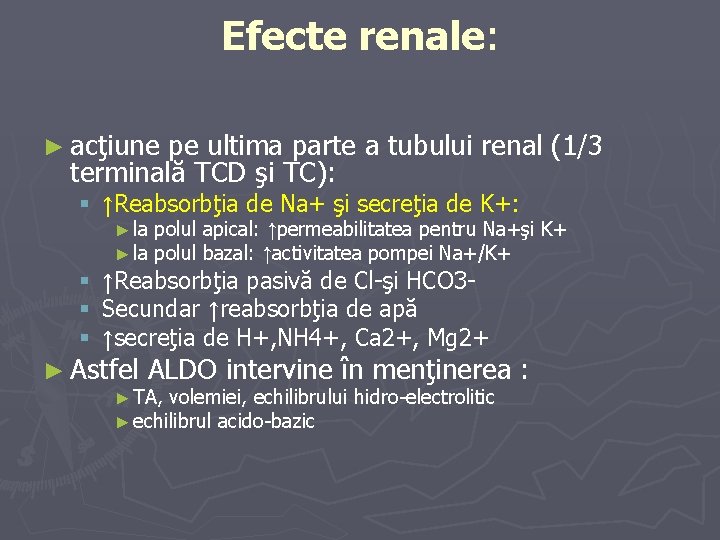 Efecte renale: ► acţiune pe ultima parte a tubului renal (1/3 terminală TCD şi