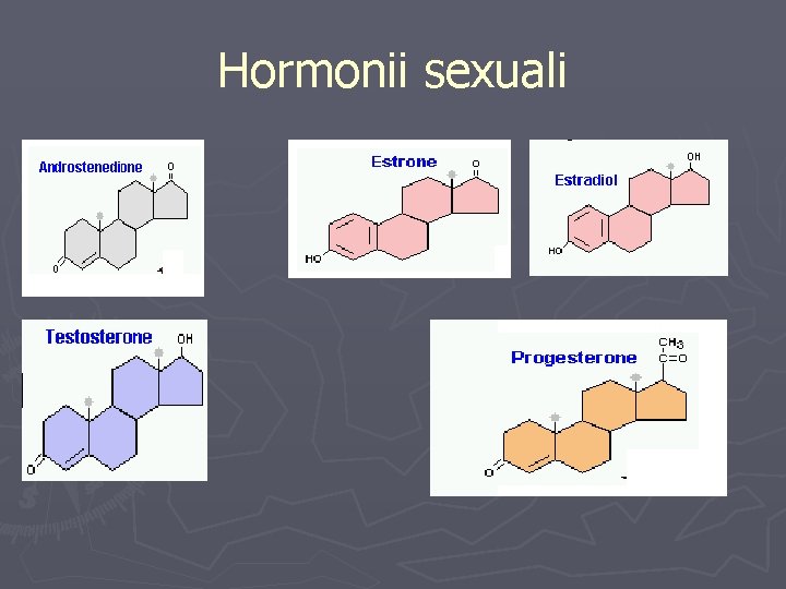 Hormonii sexuali 