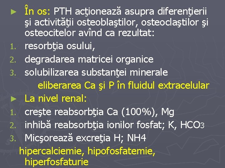 În os: PTH acţionează asupra diferenţierii şi activităţii osteoblaştilor, osteoclaştilor şi osteocitelor avînd ca