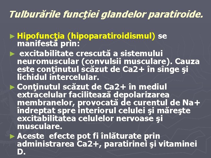 Tulburările funcţiei glandelor paratiroide. ► Hipofuncţia (hipoparatiroidismul) se manifestă prin: ► excitabilitate crescută a