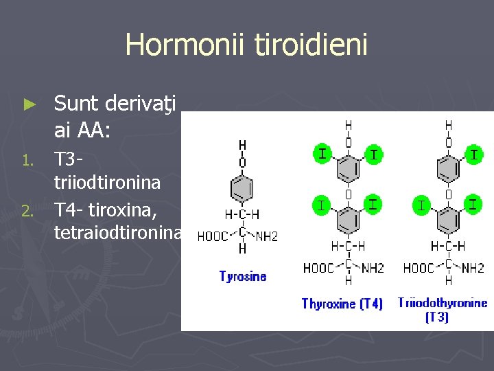 Hormonii tiroidieni ► Sunt derivaţi ai AA: T 3 triiodtironina 2. T 4 -