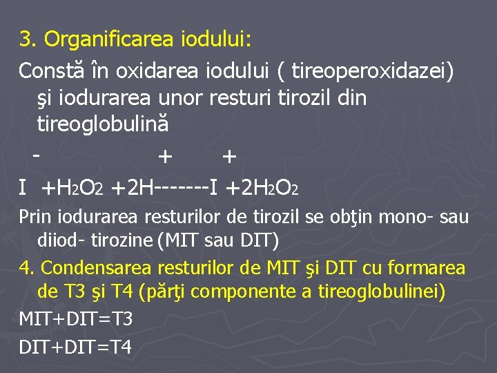 3. Organificarea iodului: Constă în oxidarea iodului ( tireoperoxidazei) şi iodurarea unor resturi tirozil