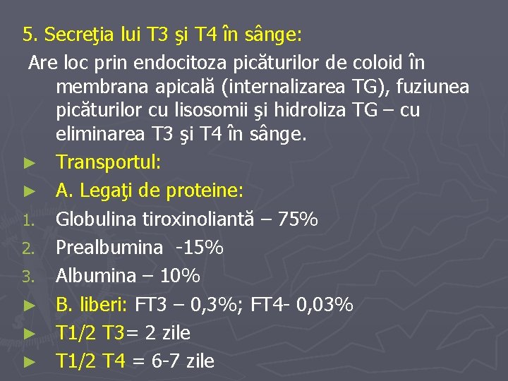 5. Secreţia lui T 3 şi T 4 în sânge: Are loc prin endocitoza