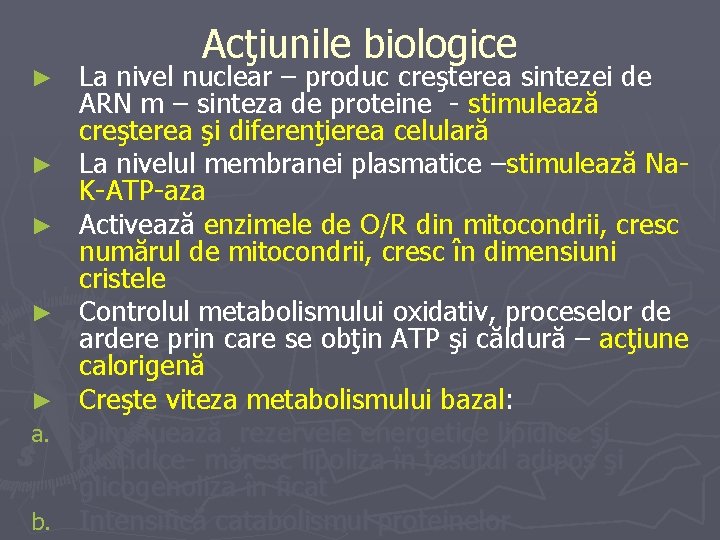 ► ► ► a. b. Acţiunile biologice La nivel nuclear – produc creşterea sintezei