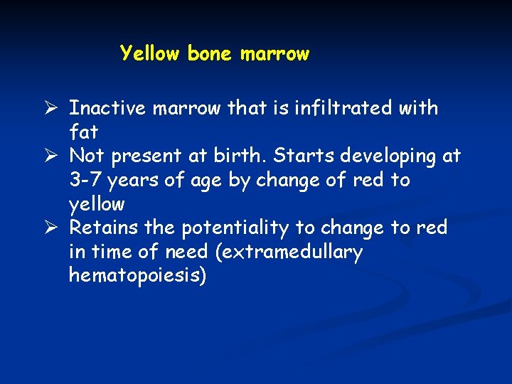 Yellow bone marrow Ø Inactive marrow that is infiltrated with fat Ø Not present