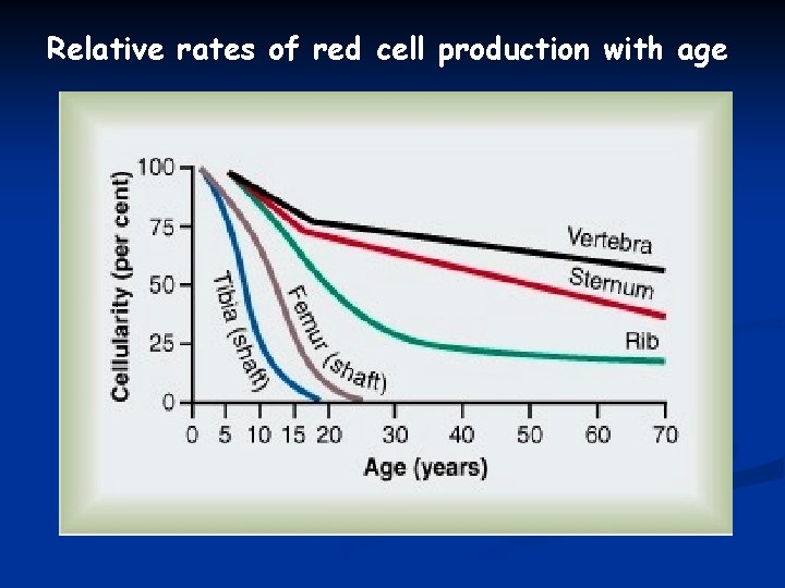 Relative rates of red cell production with age 