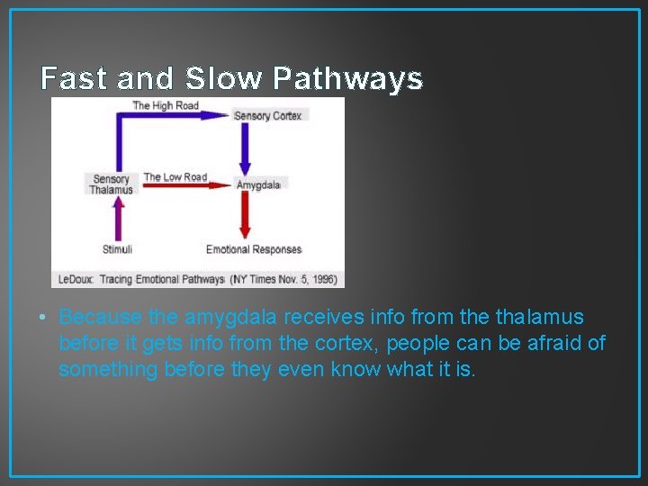 Fast and Slow Pathways • Because the amygdala receives info from the thalamus before