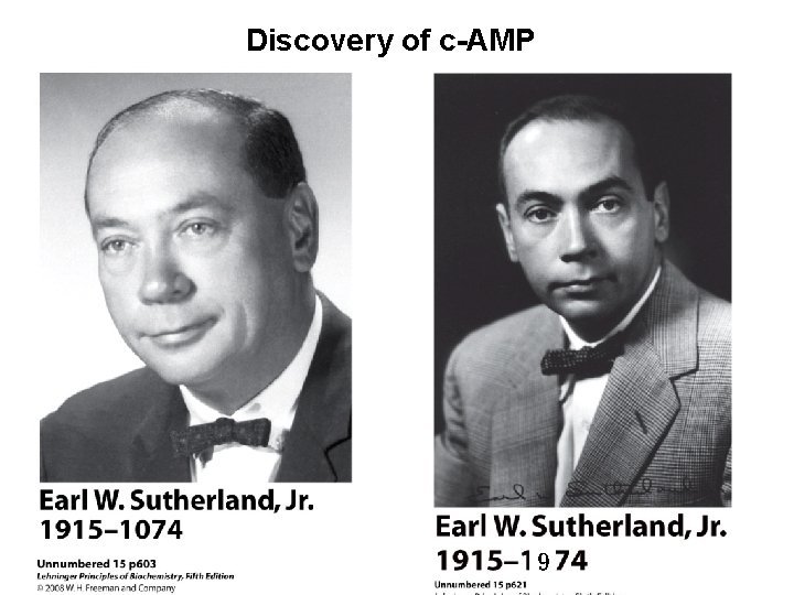 Discovery of c-AMP 9 