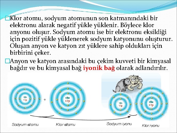 �Klor atomu, sodyum atomunun son katmanındaki bir elektronu alarak negatif yüklenir. Böylece klor anyonu