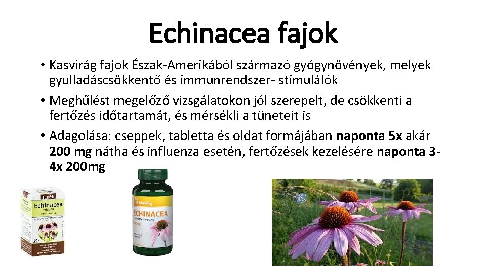 Echinacea fajok • Kasvirág fajok Észak-Amerikából származó gyógynövények, melyek gyulladáscsökkentő és immunrendszer- stimulálók •