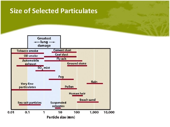 Size of Selected Particulates 