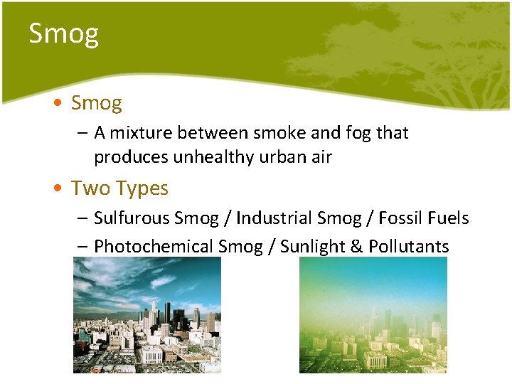 Smog • Smog – A mixture between smoke and fog that produces unhealthy urban