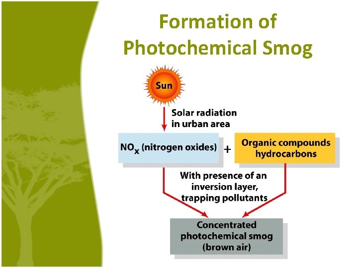 Formation of Photochemical Smog 