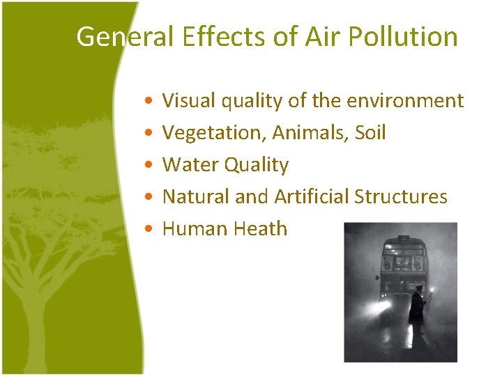General Effects of Air Pollution • • • Visual quality of the environment Vegetation,